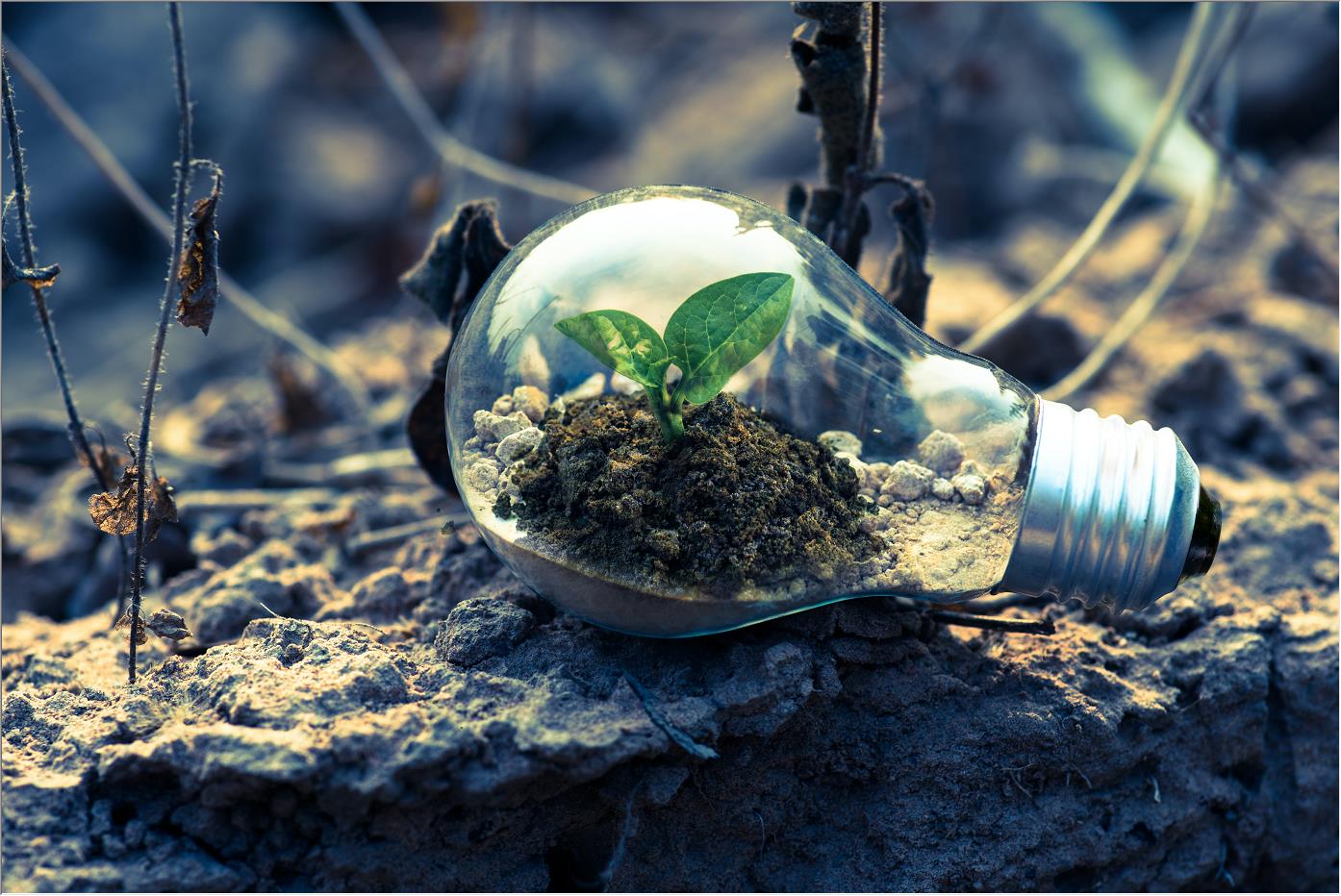 建筑項目的最新趨勢是什么？